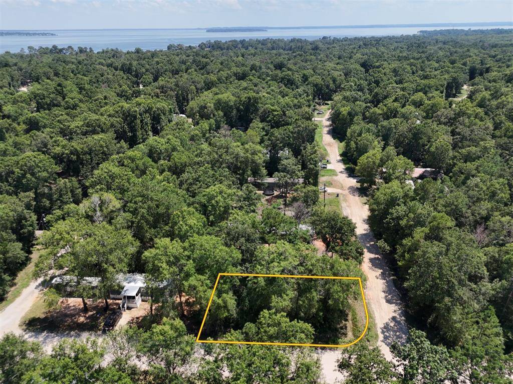 Livingston, TX 77351,Lot 101 Ithica
