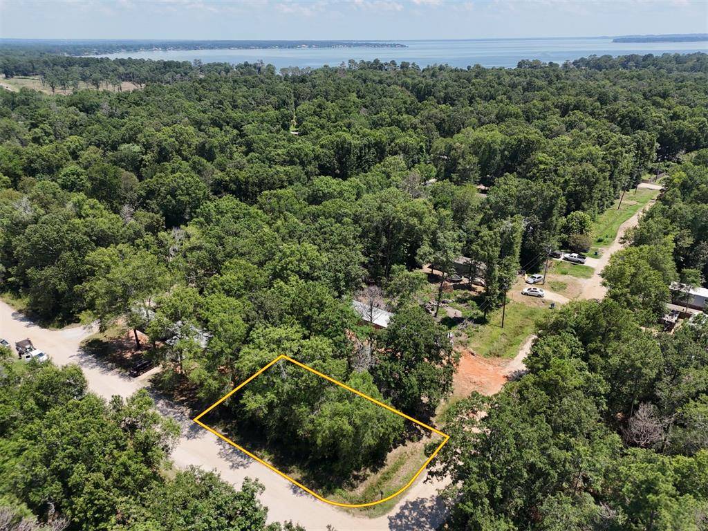 Livingston, TX 77351,Lot 101 Ithica