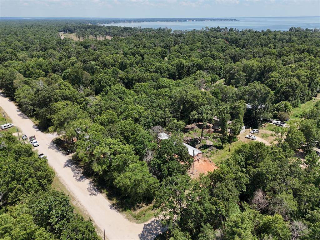 Livingston, TX 77351,Lot 101 Ithica