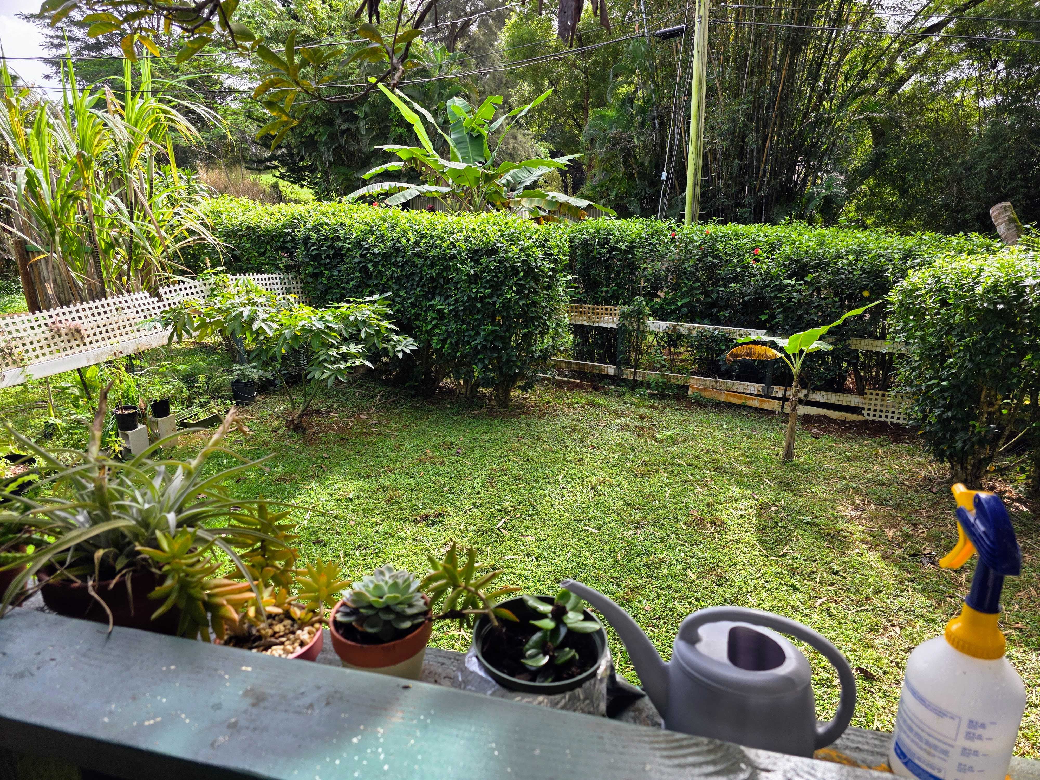 Kapaa, HI 96746,6300 HELENA LN