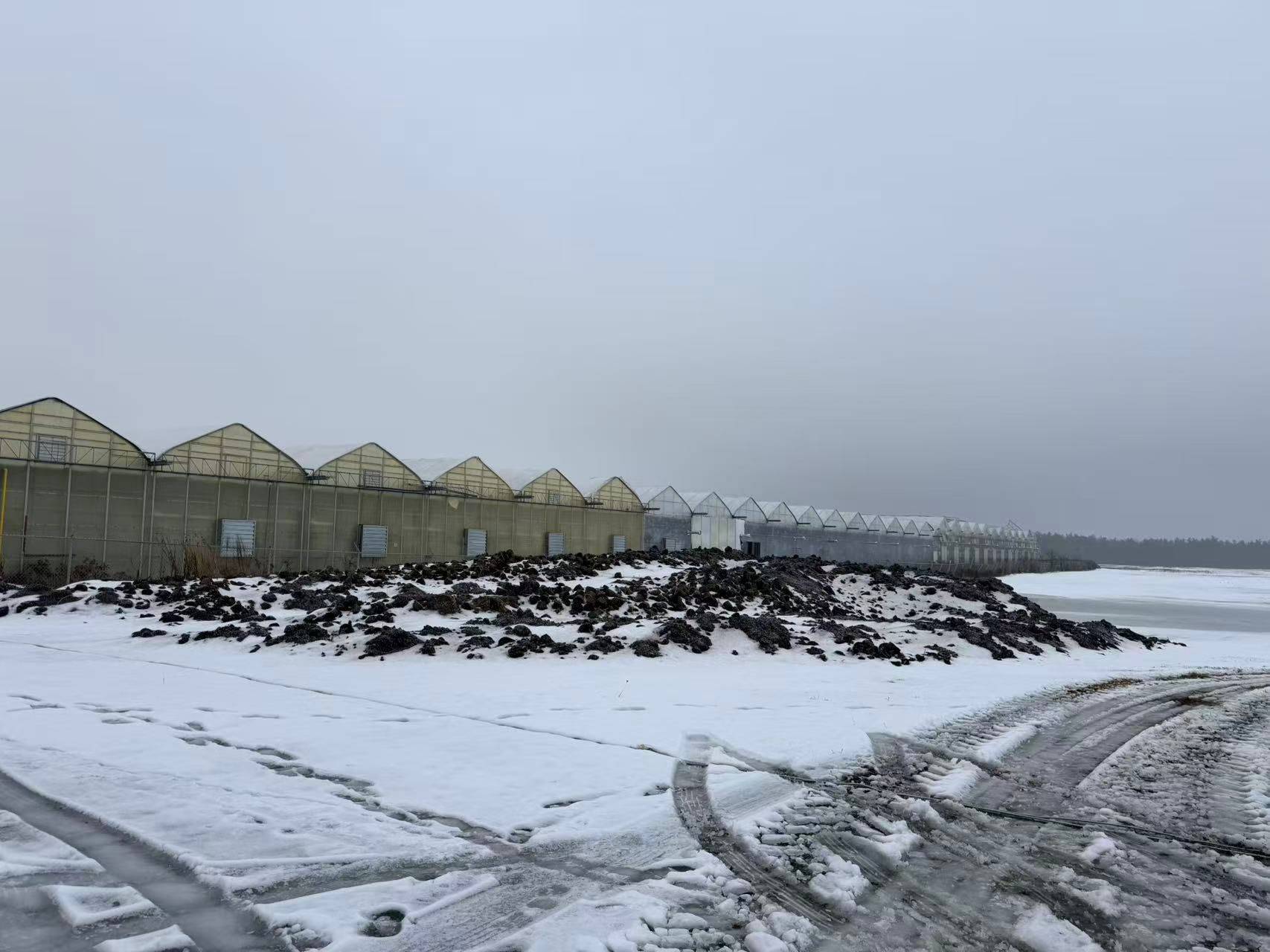 Haldimand, ON N1A 2W7,1510 Highway 3 HWY