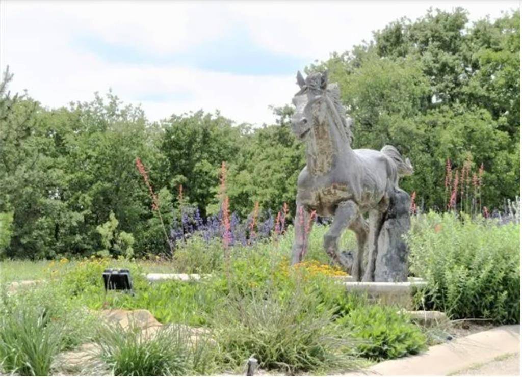 Bowie, TX 76230,444 Ranchview