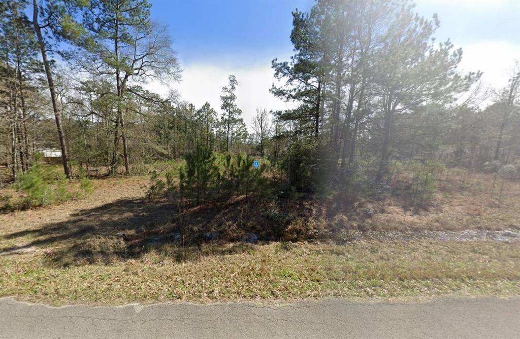 Conroe, TX 77302,18795 Country Place Drive