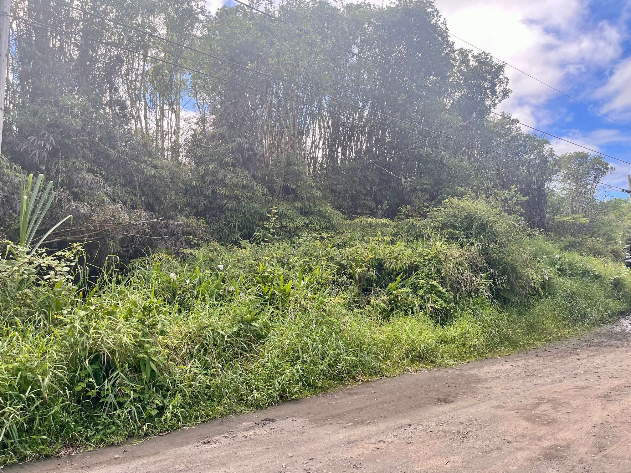 Mountain View, HI 96771,OAHU ST