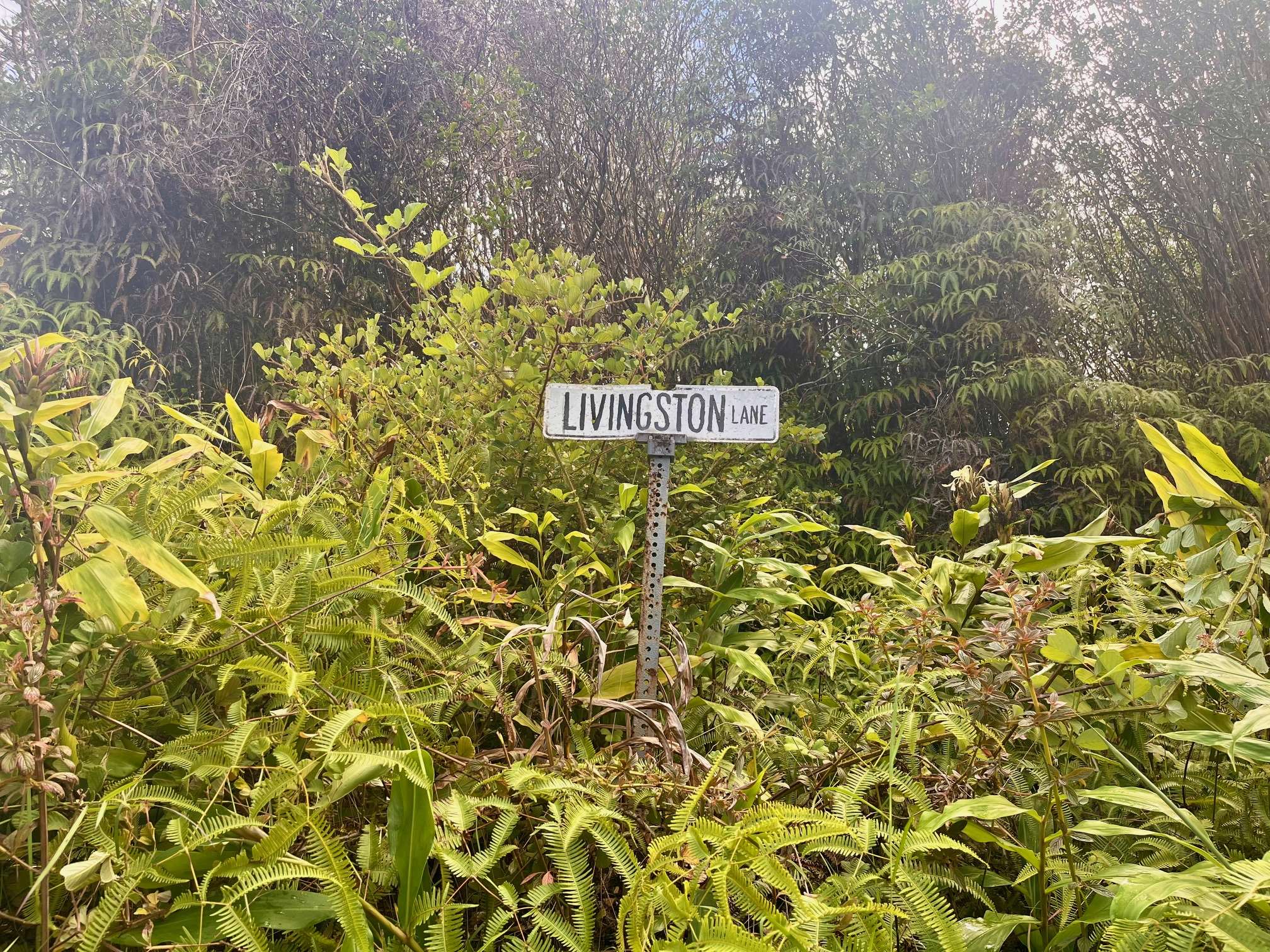 Mountain View, HI 96771,OAHU ST