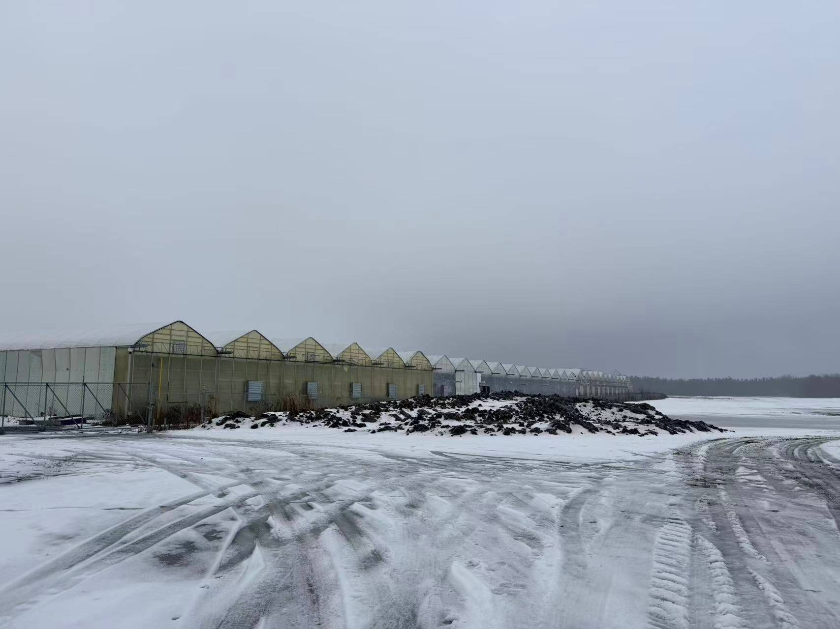 Haldimand, ON N1A 2W7,1510 Highway 3 HWY