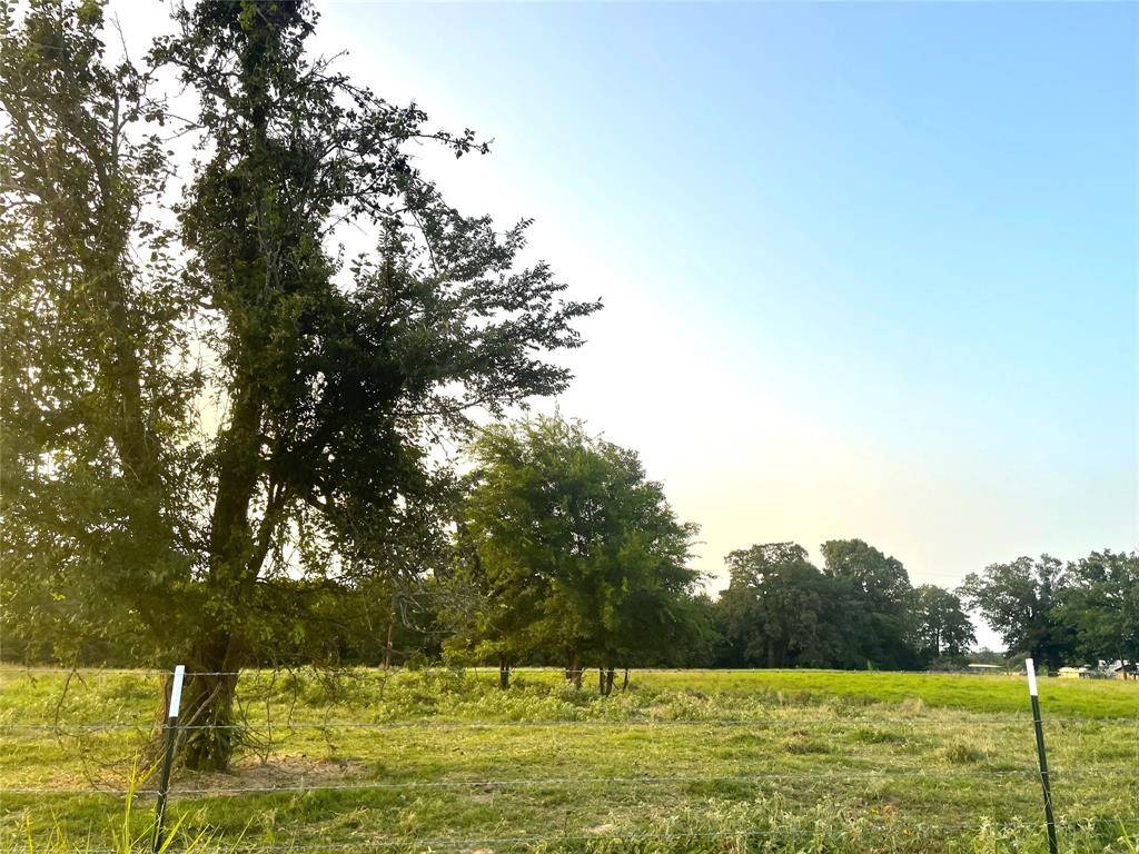 De Kalb, TX 75559,tbd cr 3310