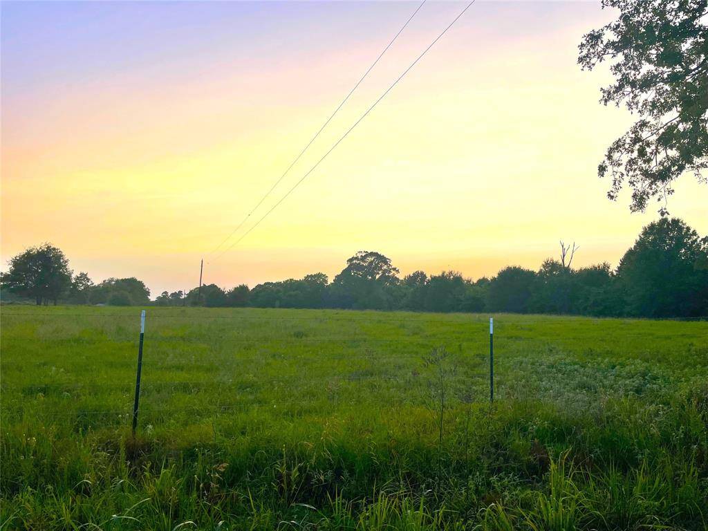 De Kalb, TX 75559,tbd cr 3310