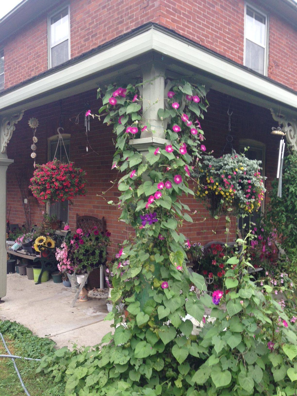 Hamilton Township, ON K9A 4J9,3756 Burnham ST