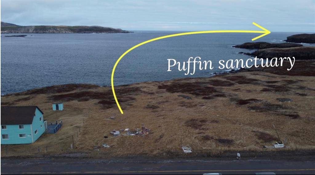 Elliston, NL A0C1N0,49-51 Maberly Road