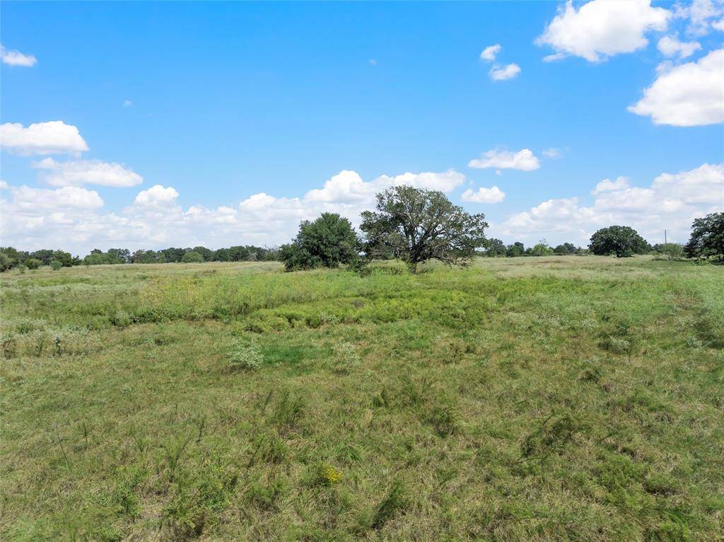 Bremond, TX 76629,Lot 10 George Watchel