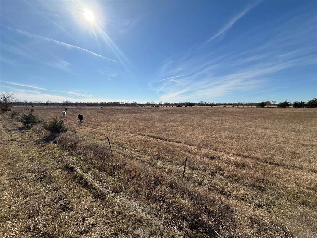 Paris, TX 75462,TBD CR 15540