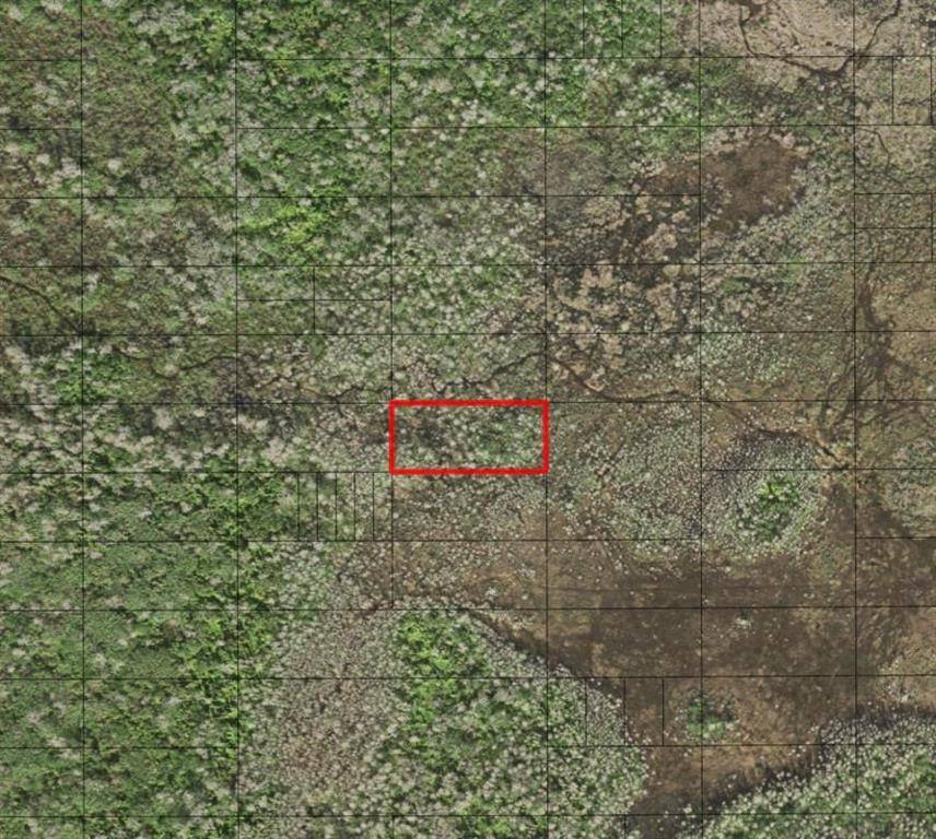 St. Cloud, FL 34772,0 HOLOPAW GROVES RD