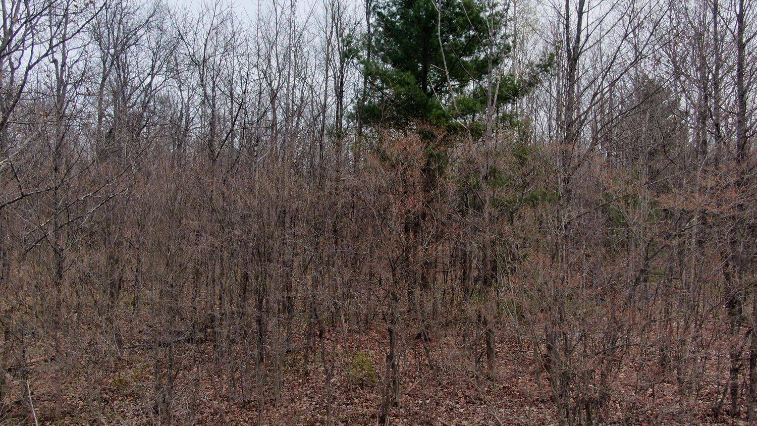 Front Of Yonge, ON K0E 1R0,0 GRAHAM LAKE RD