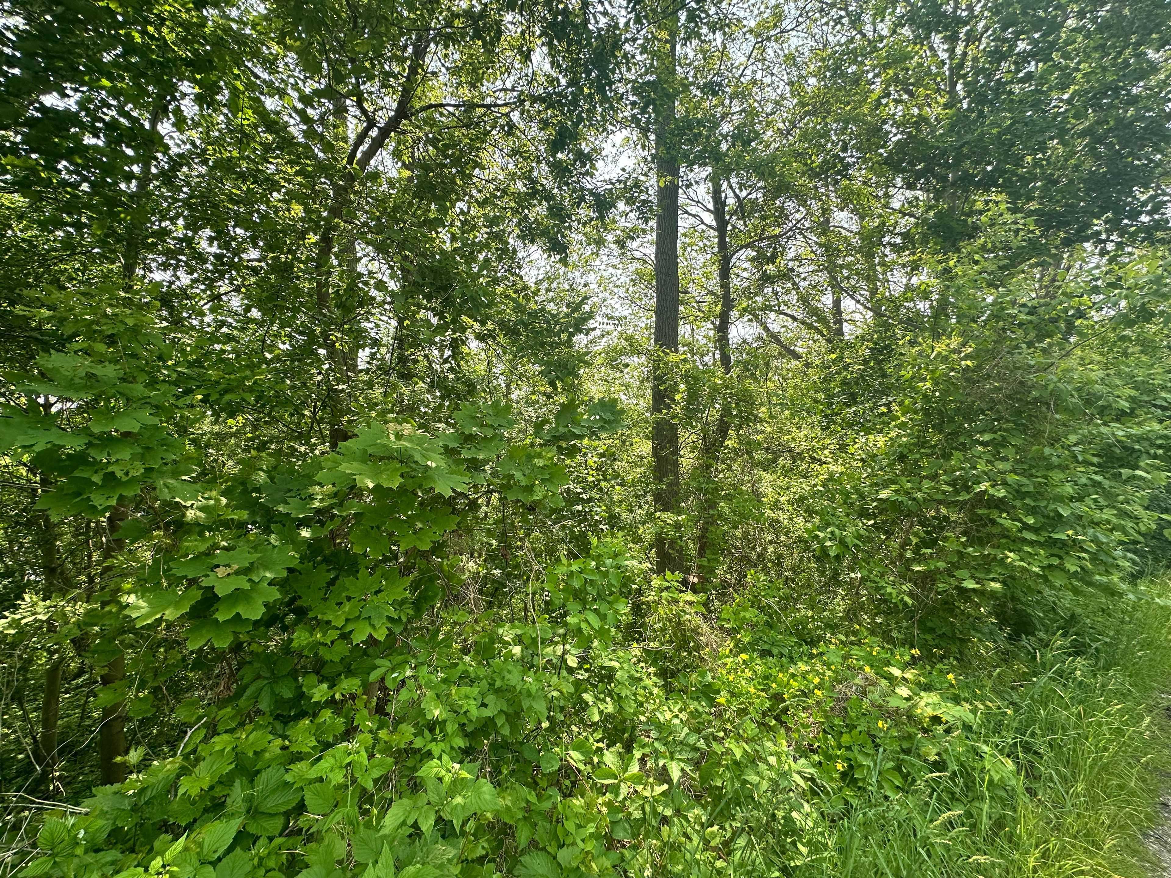 Haldimand, ON N3W 1B2,489 Caithness ST E