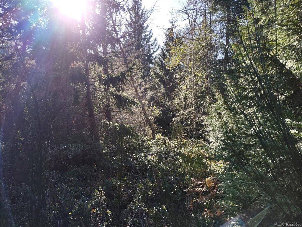 Shawnigan Lake, BC V0R 2W3,Lot 11 Goldstream Heights Dr