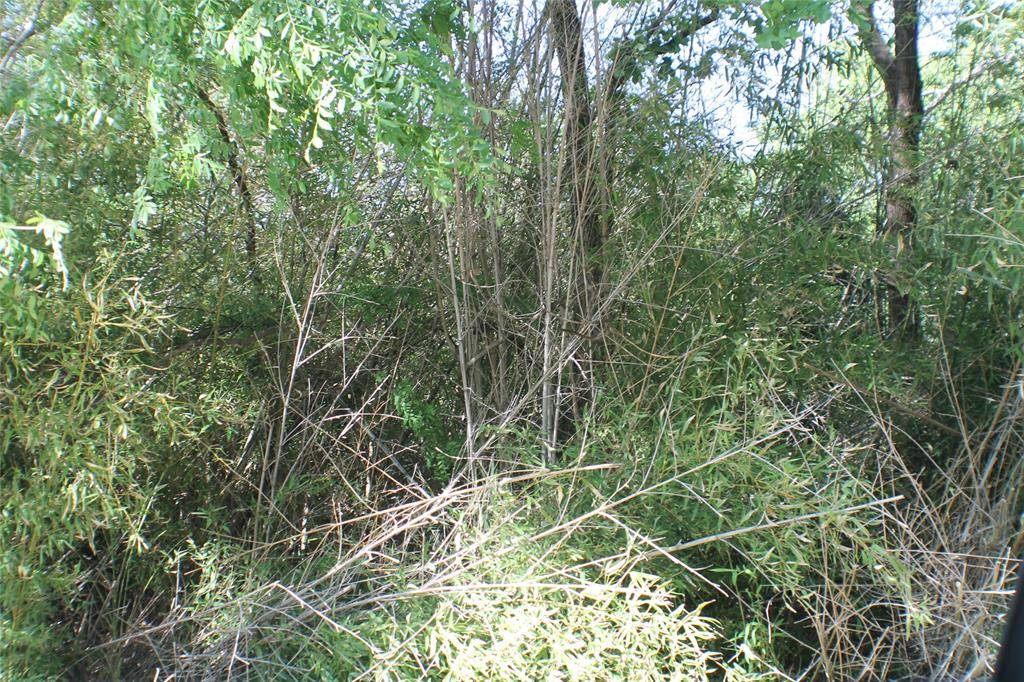 Tool, TX 75143,1004 Owhyhe Road