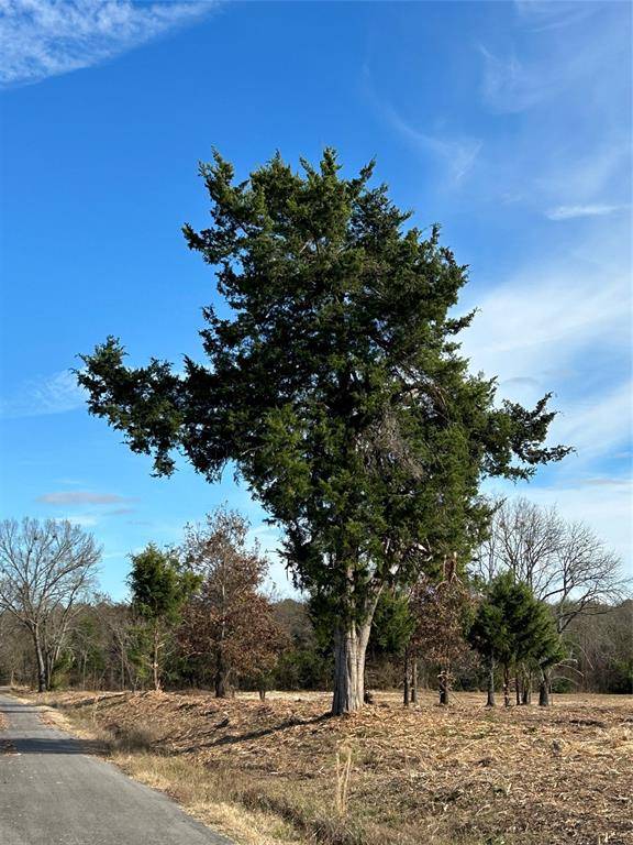 Arthur City, TX 75411,4427 County Road 45080