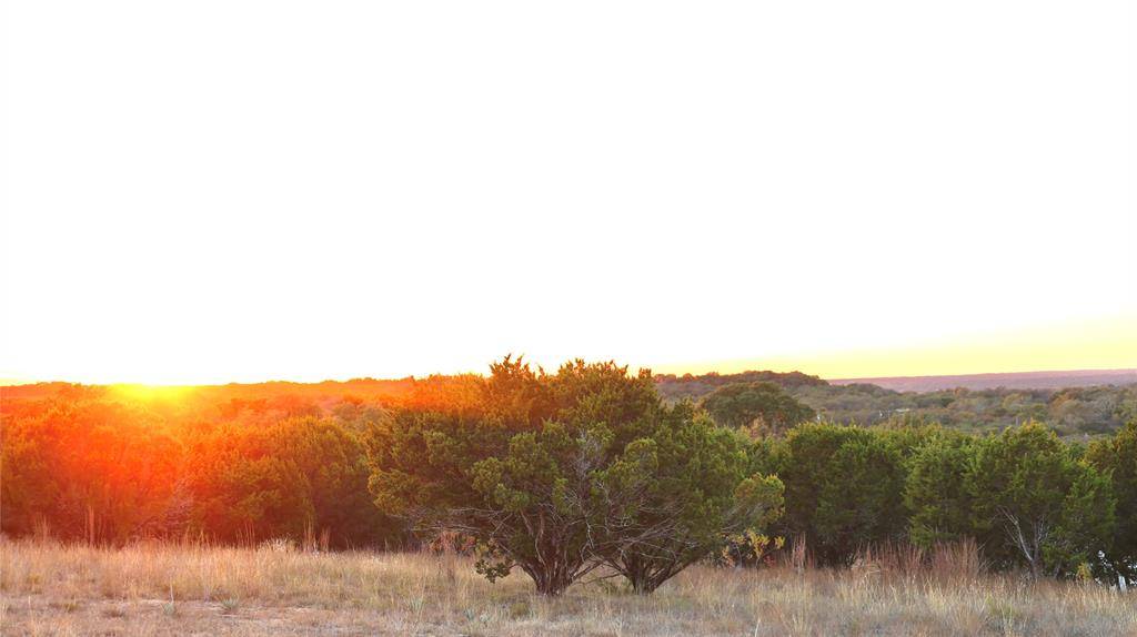 Nemo, TX 76070,1044 Cedar Hill Drive