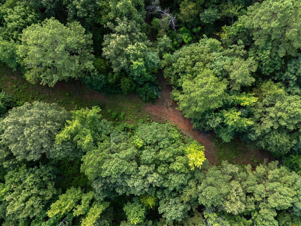 Gilmer, TX 75644,0 Ginger Road