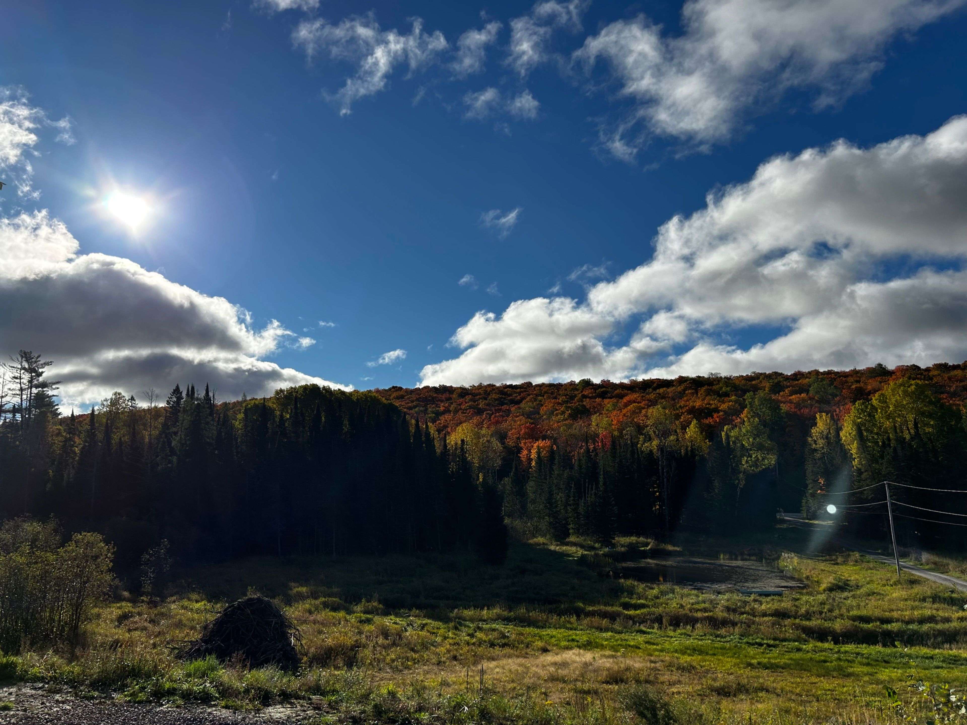 Perry, ON P0A 1J0,556 Highway 518 N/A W