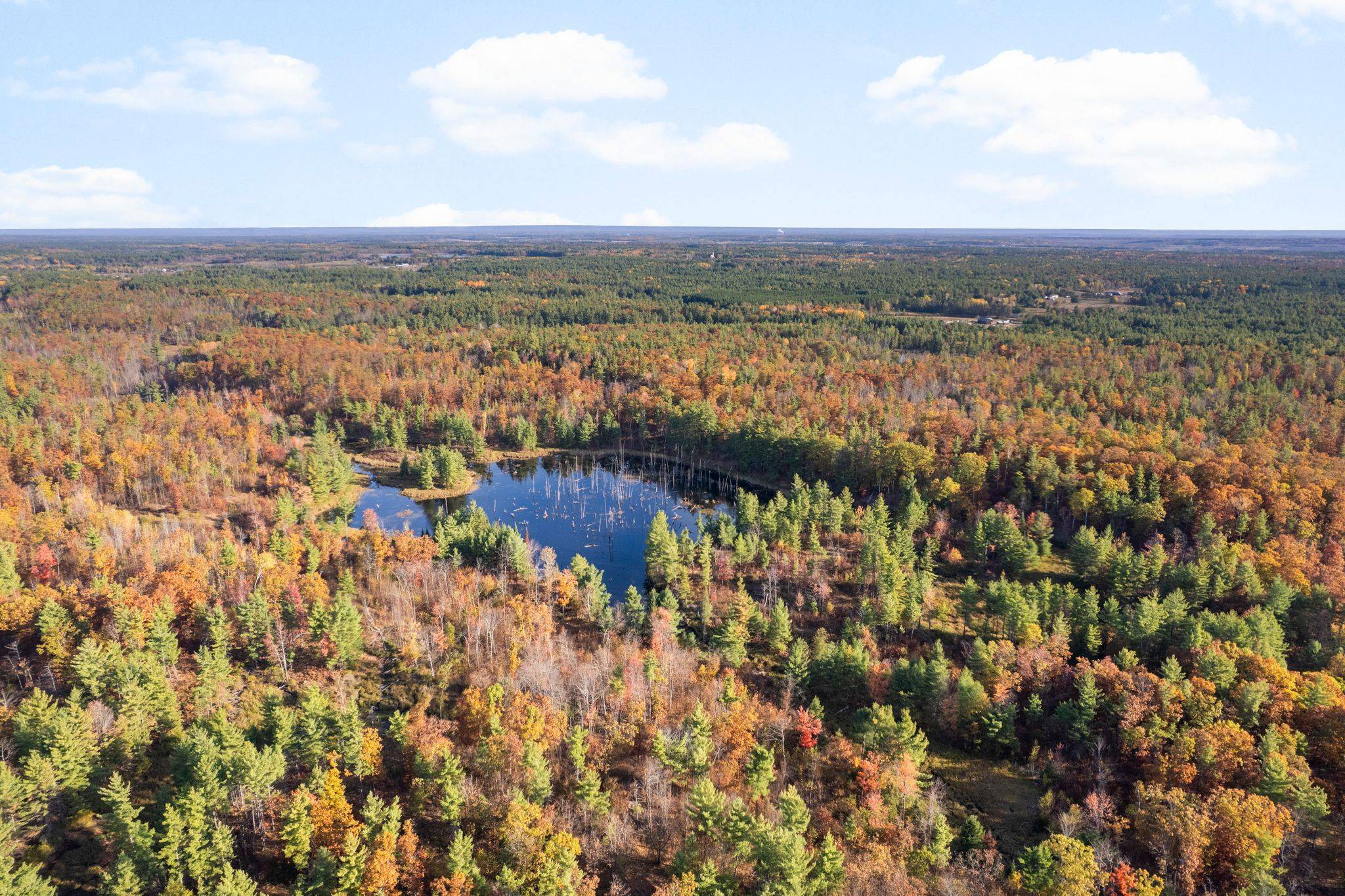 North Algona Wilberforce, ON K8A 6W4,0 Reiche RD