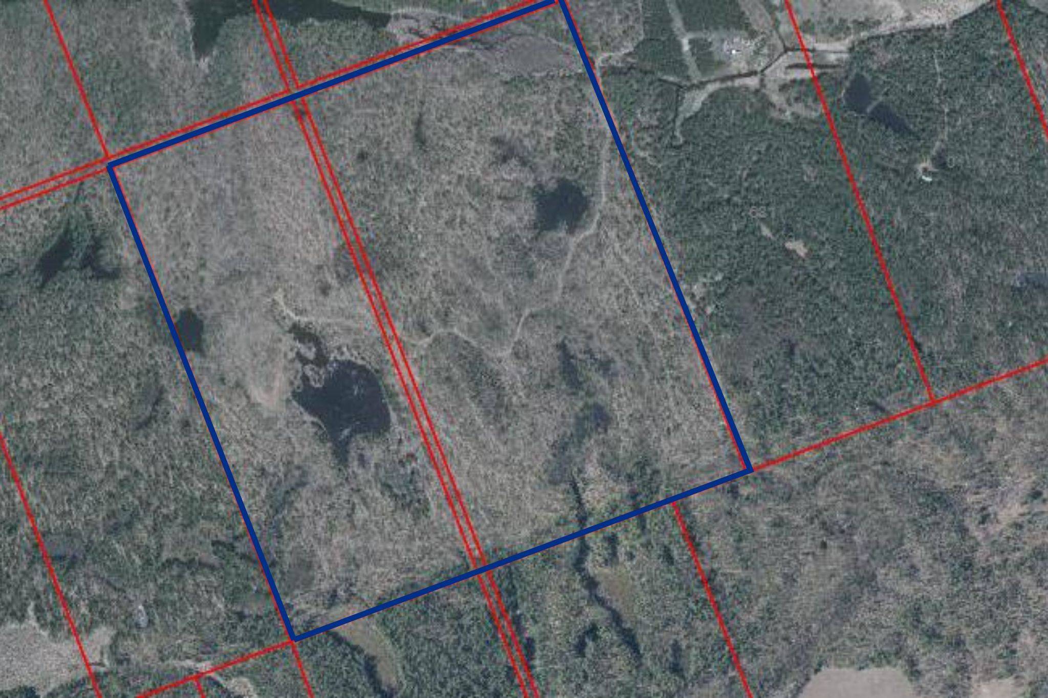 North Algona Wilberforce, ON K8A 6W4,0 Reiche RD