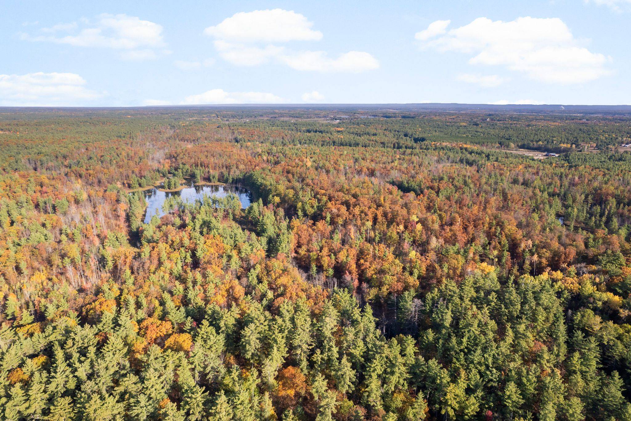 North Algona Wilberforce, ON K8A 6W4,0 Reiche RD