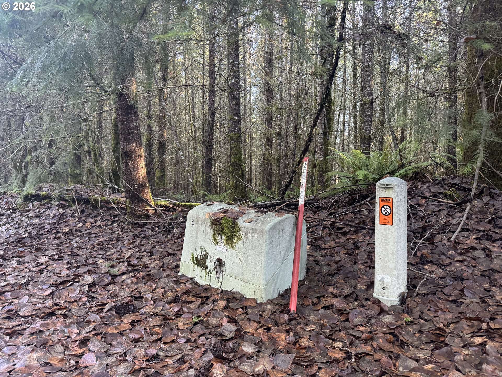 Toutle, WA 98649,233 SHY BEAR RD