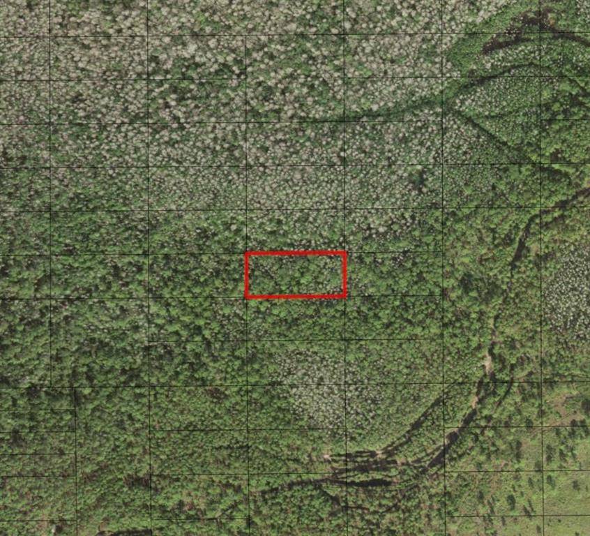 St. Cloud, FL 34772,0 HOLOPAW GROVES RD