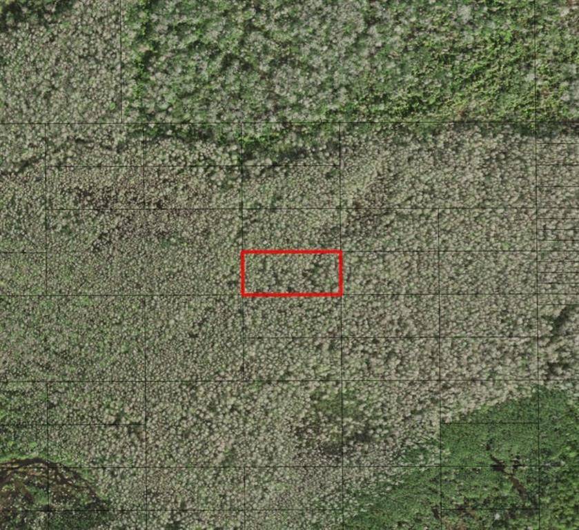 St. Cloud, FL 34772,0 HOLOPAW GROVES RD