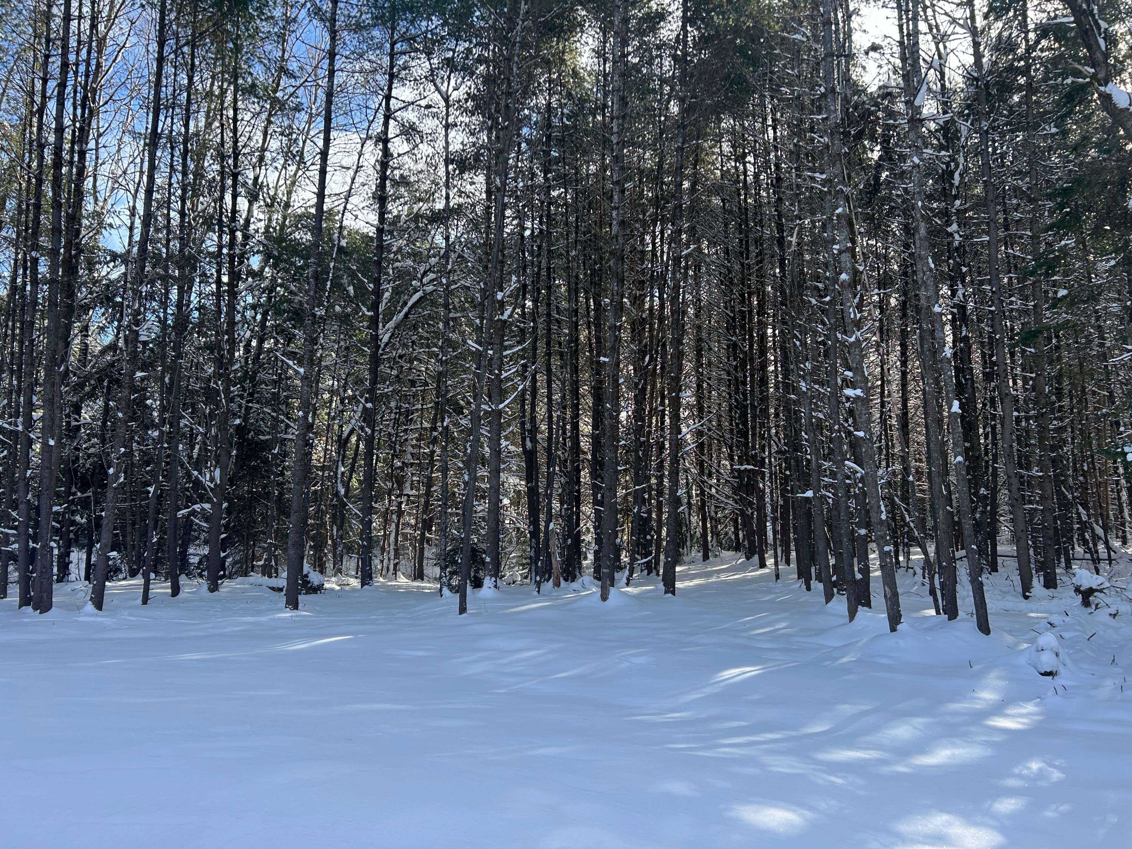 Huntsville, ON P0B 1L0,286 Clearwater Lake RD