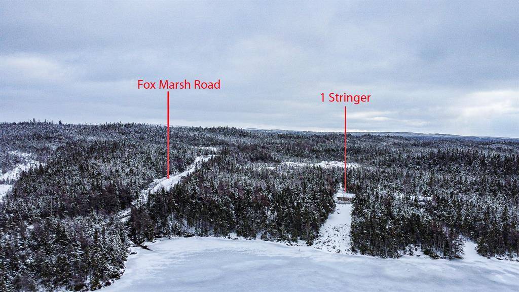 Ocean Pond, NL A0B 3K0,1 Stringer Street