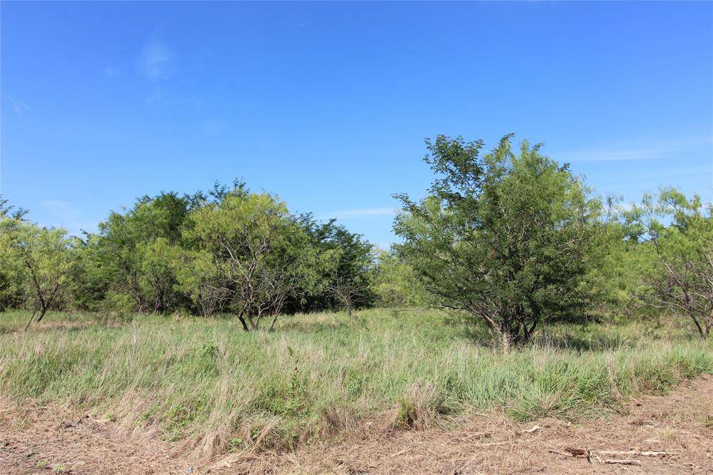 Kaufman, TX 75142,TBD Lot 3 County Road 146