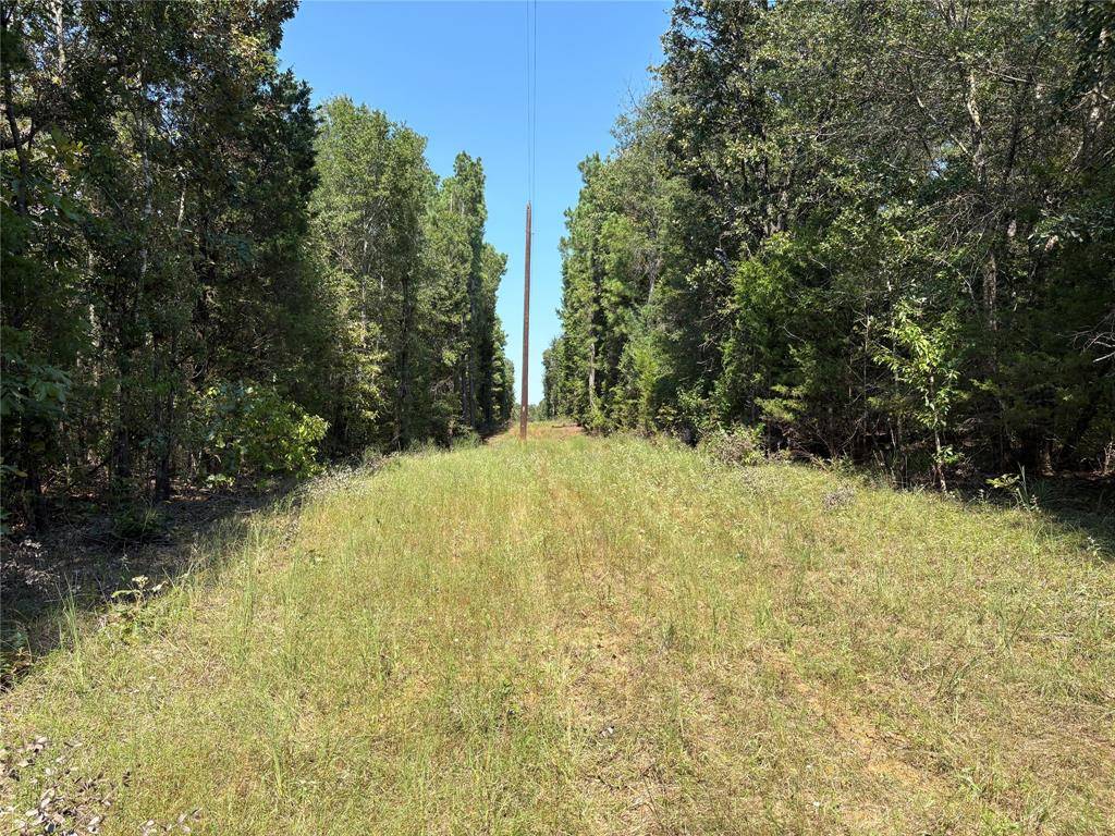 Como, TX 75431,TBD FM 69 #Tract 2