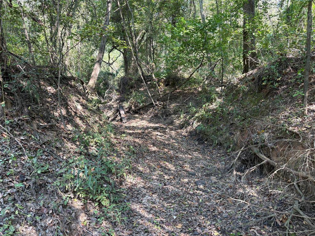 Como, TX 75431,TBD FM 69 #Tract 2