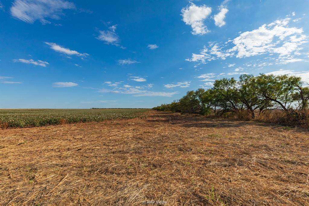 Merkel, TX 79536,000 CR 432