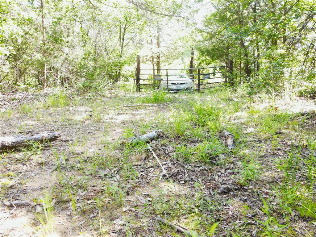 Terrell, TX 75161,12975 Cr-316