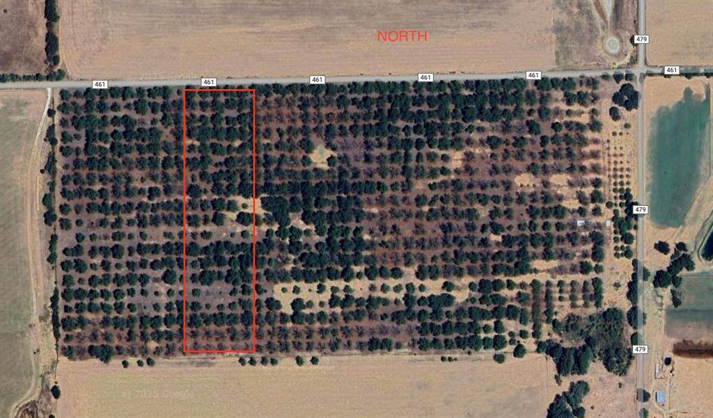 De Leon, TX 76444,TBD County Road 461