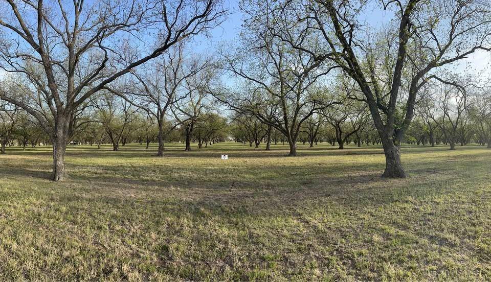 De Leon, TX 76444,TBD County Road 461