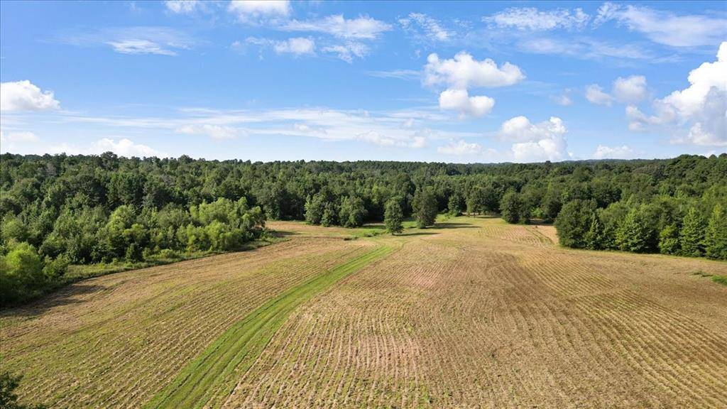 Gilmer, TX 75644,TBD S Live Oak