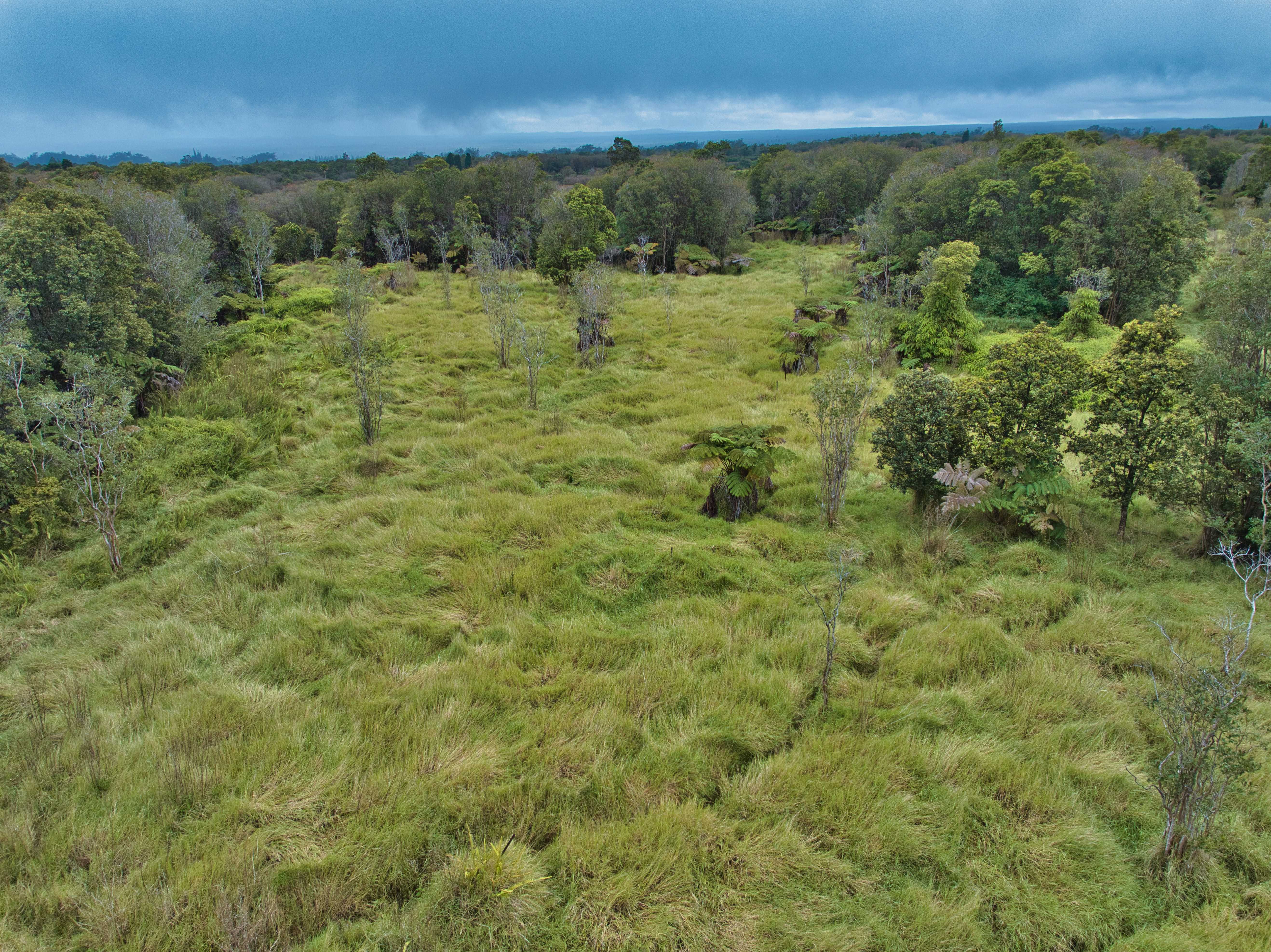 Mountain View, HI 96785,18-4292 LUNA IKENA RD