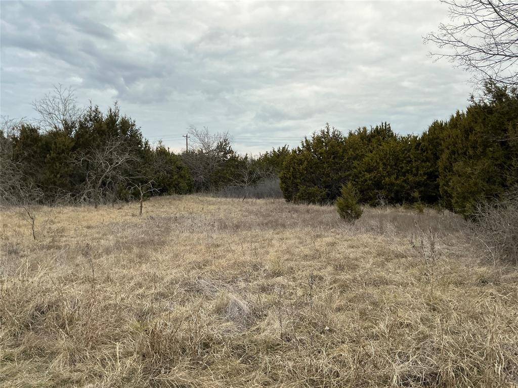 Whitney, TX 76692,36021 Cedar Ridge Drive