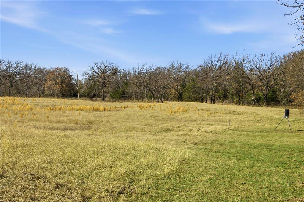 TBD Lot 2 Countty Road 349, Terrell, TX 75161