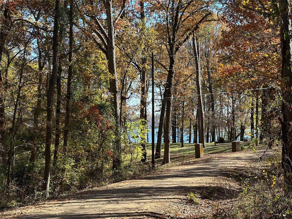 Pittsburg, TX 75686,N/A Lot 59 County Road 2938