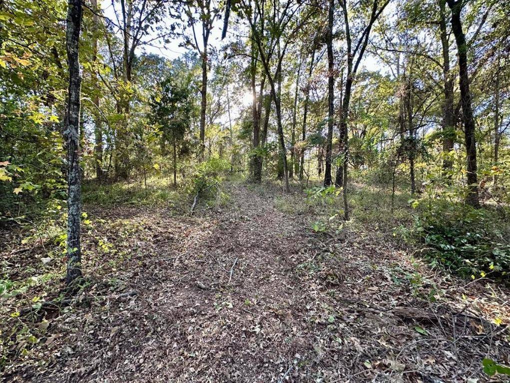 Pittsburg, TX 75686,N/A Lot 59 County Road 2938