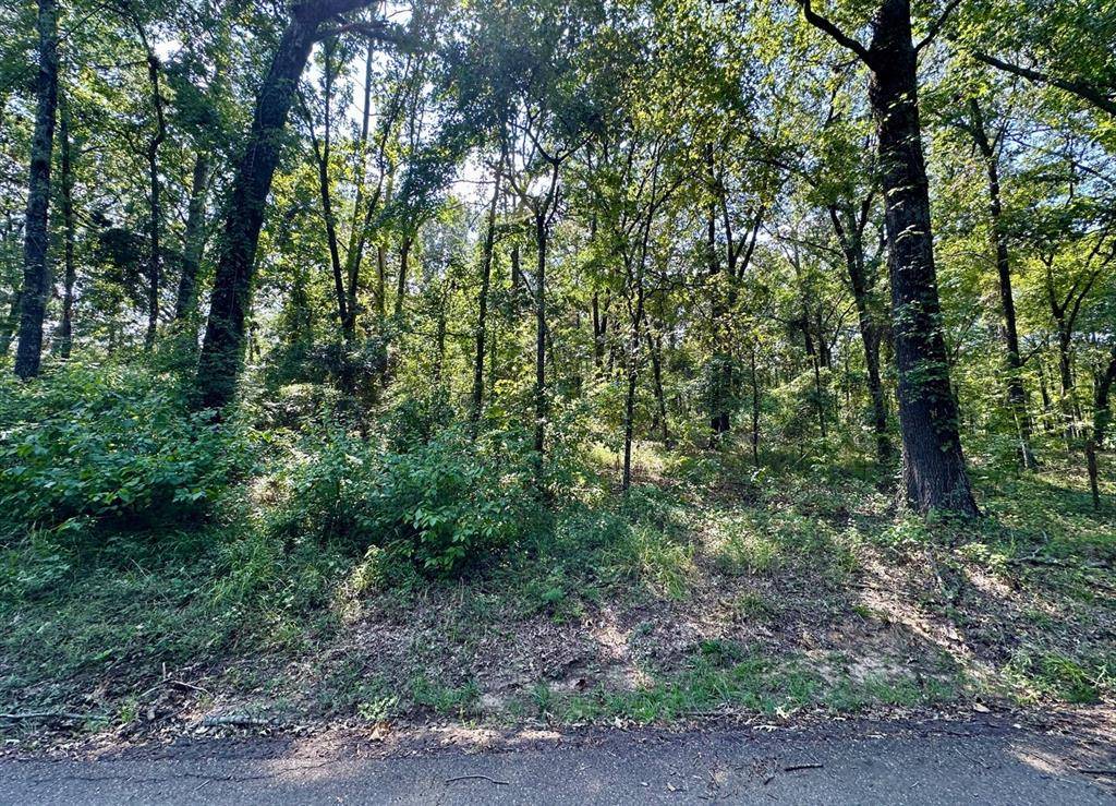 Pittsburg, TX 75686,N/A Lot 59 County Road 2938