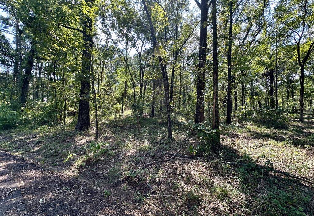 Pittsburg, TX 75686,N/A Lot 59 County Road 2938