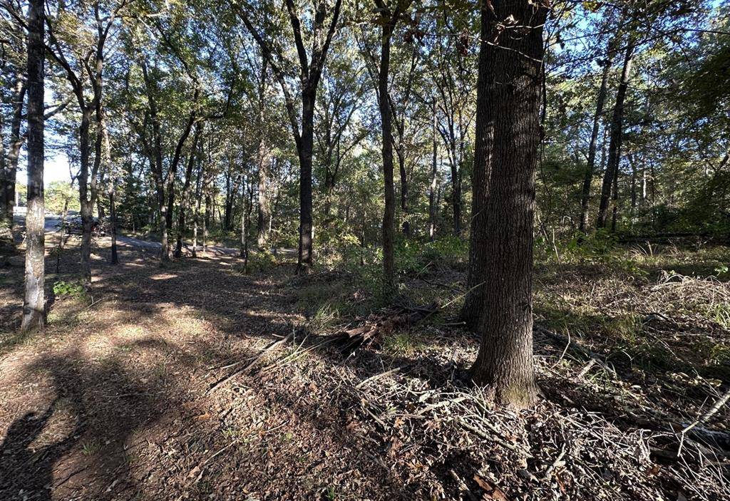 Pittsburg, TX 75686,N/A Lot 59 County Road 2938