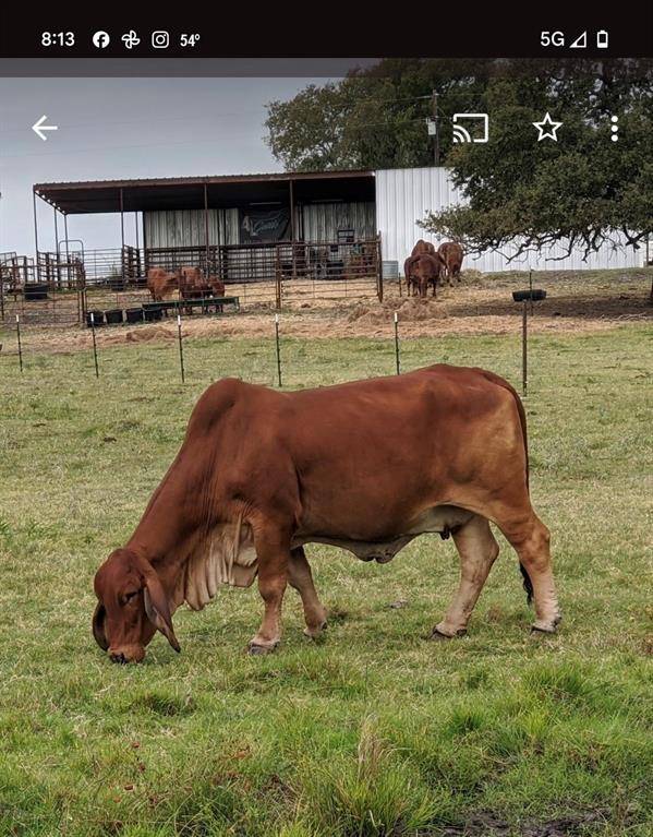 Mart, TX 76664,1010 Lcr 612